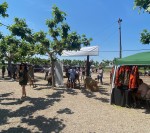 La Fira del Gos Caçadors a Arbeca es celebra amb un notable èxit de visitants i expositors